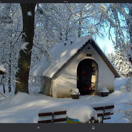 Апартаменты Wohlfuehloase Am Michelsberg *